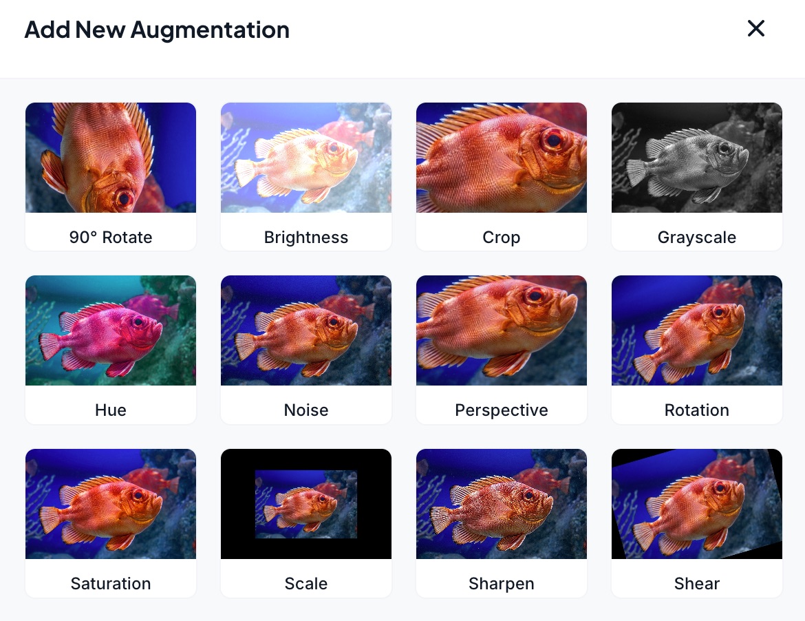 Select Augmentation Transformers