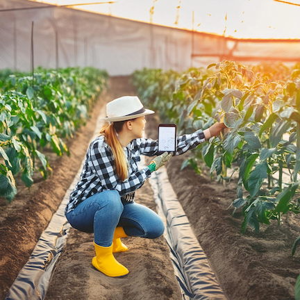Revolutionizing Crop Monitoring with Computer Vision Solutions